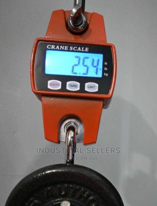 Hanging Scale 300kgs