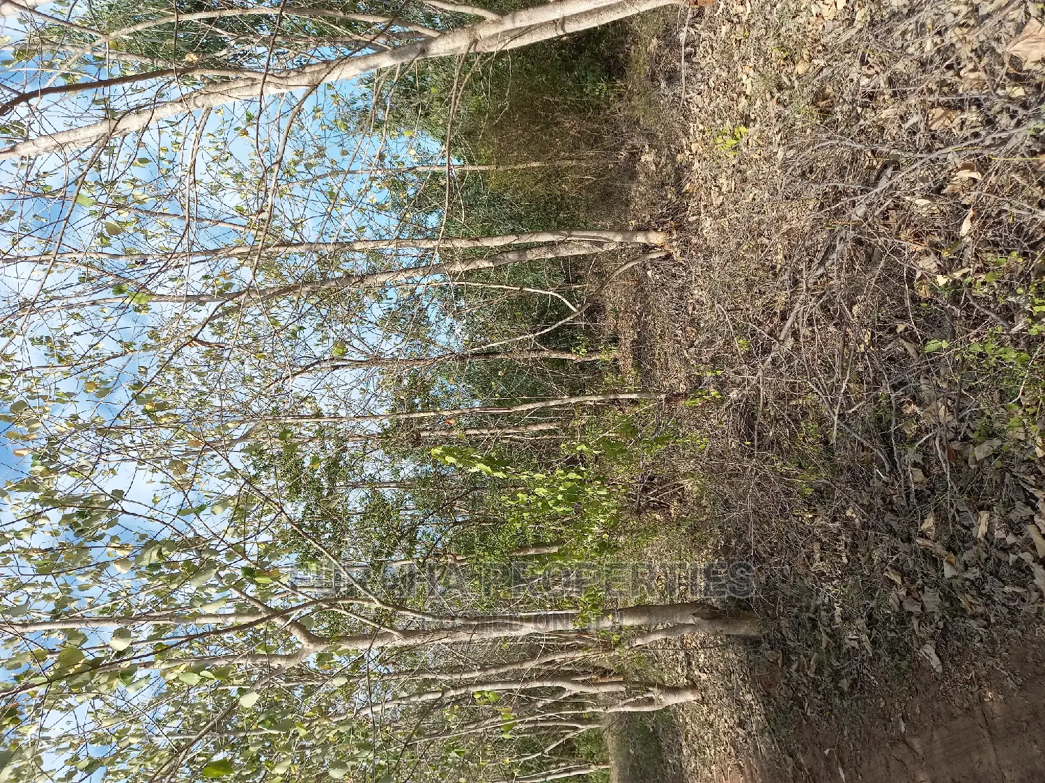 For Sale 1 Acre Commercial Land Vipingo