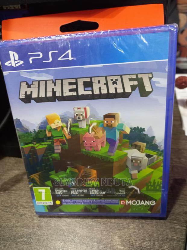 Ps4 Minecraft - main view