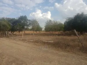 Chaka Quarter Plot Next to White Rock Resort