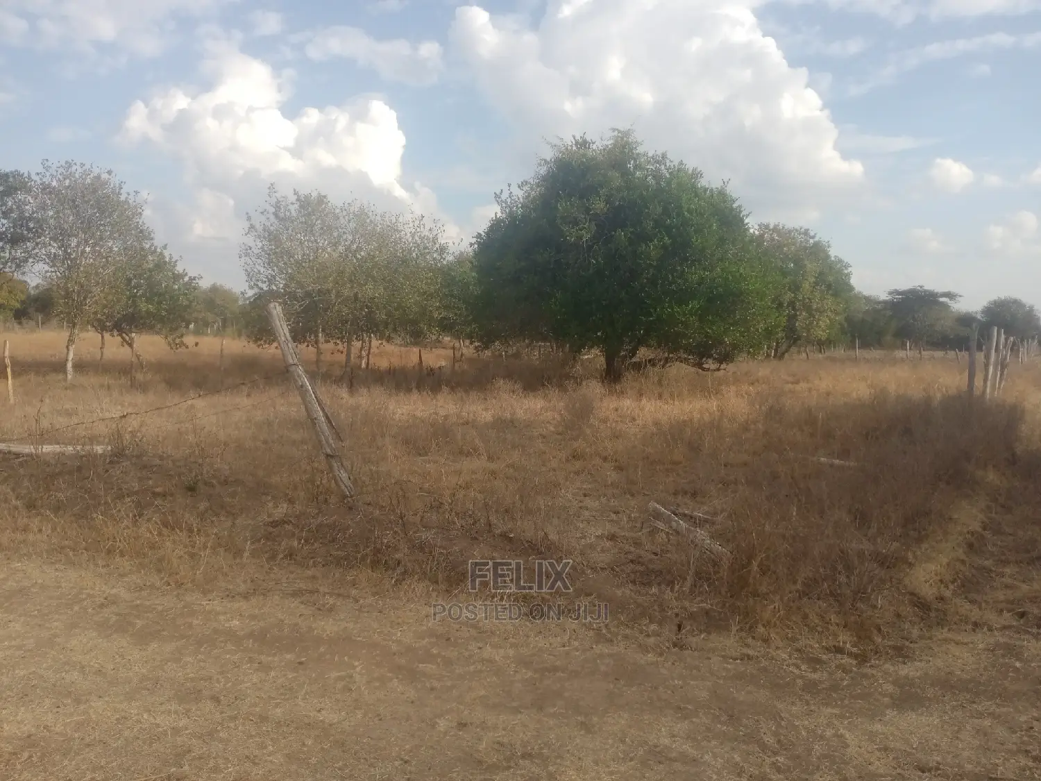 Chaka Quarter Plot Next to White Rock Resort