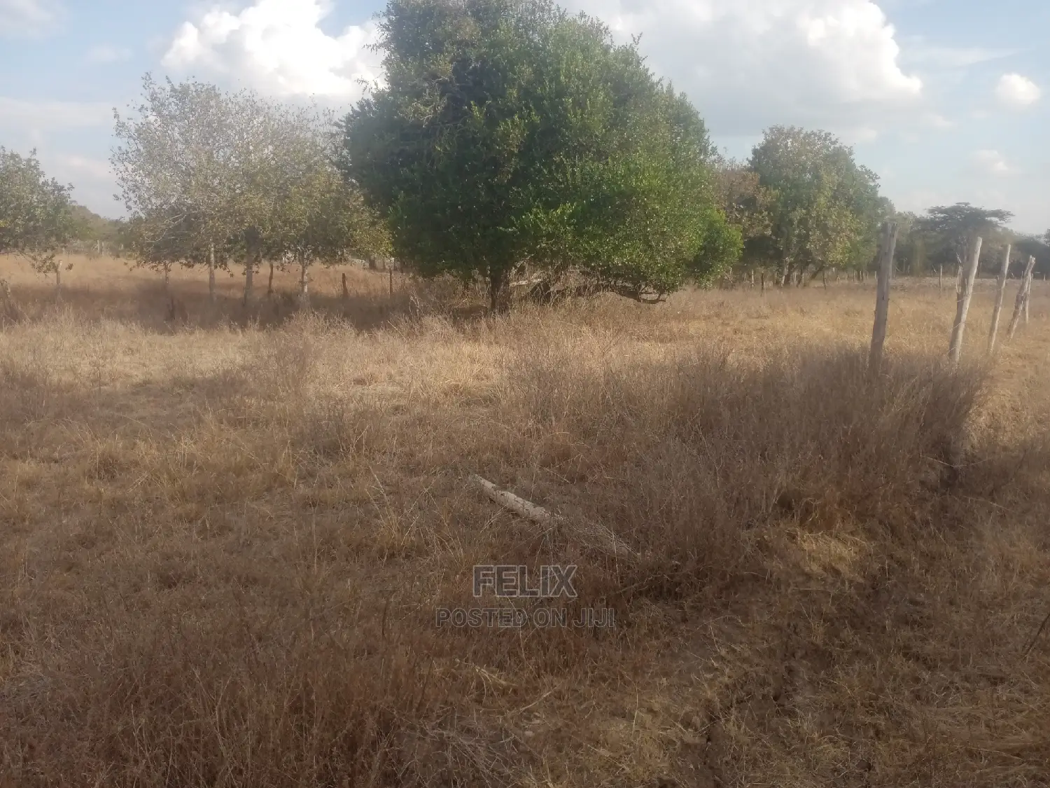 Chaka Quarter Plot Next to White Rock Resort