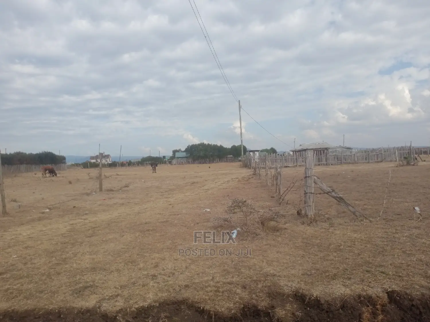 Chaka Quarter Plot Next to White Rock Resort