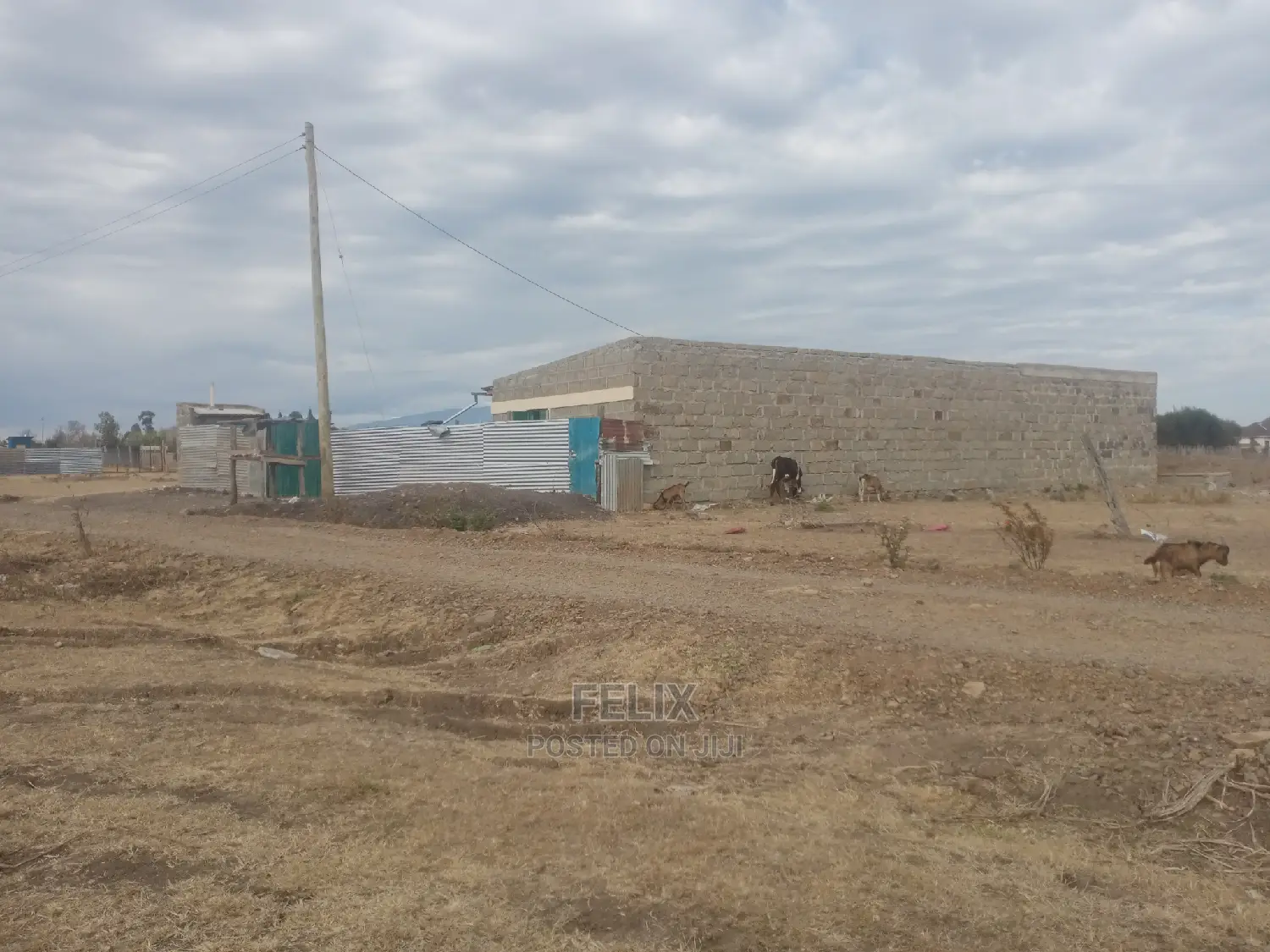 Chaka Quarter Plot Next to White Rock Resort
