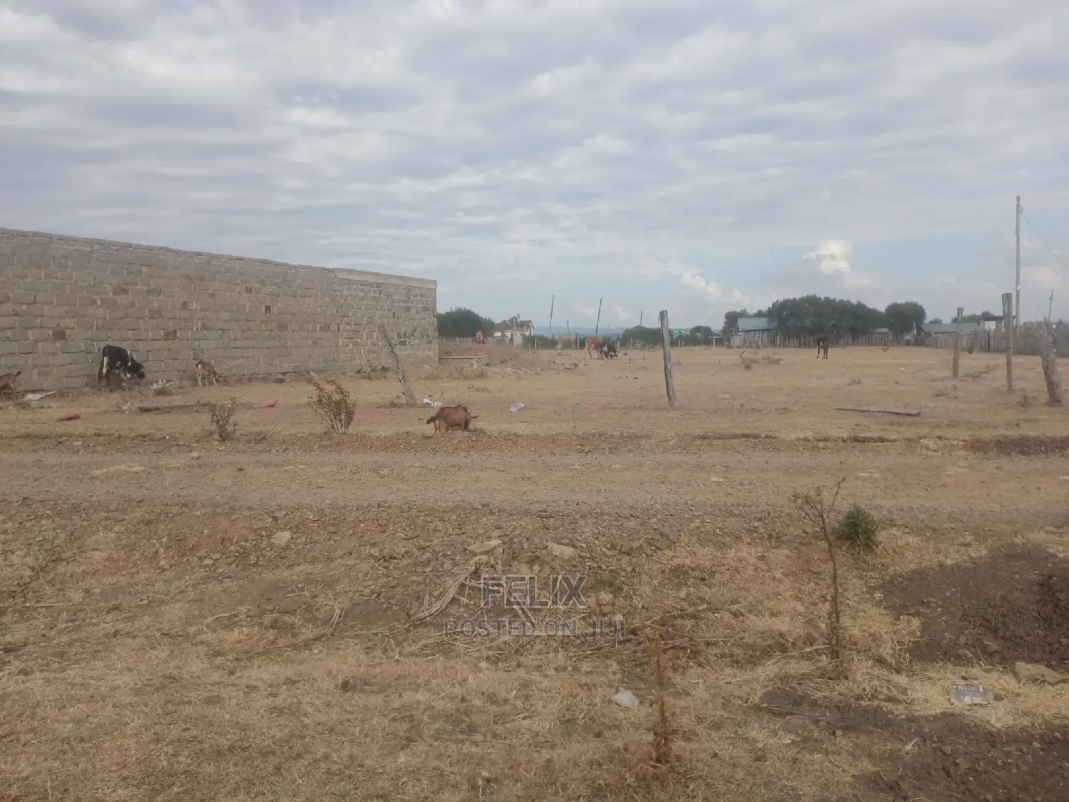 Chaka Quarter Plot Next to White Rock Resort