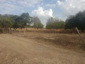 Chaka Quarter Plot Next to White Rock Resort