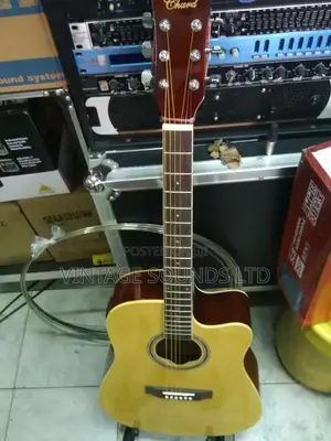 Semi Acoustic Guitar USA