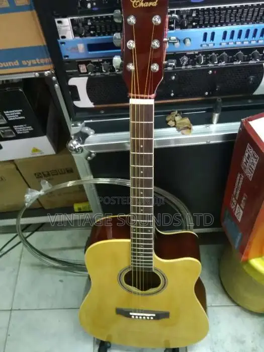 Semi Acoustic Guitar USA