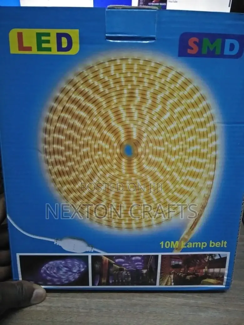 LED Smd Light Multi Colored 10M