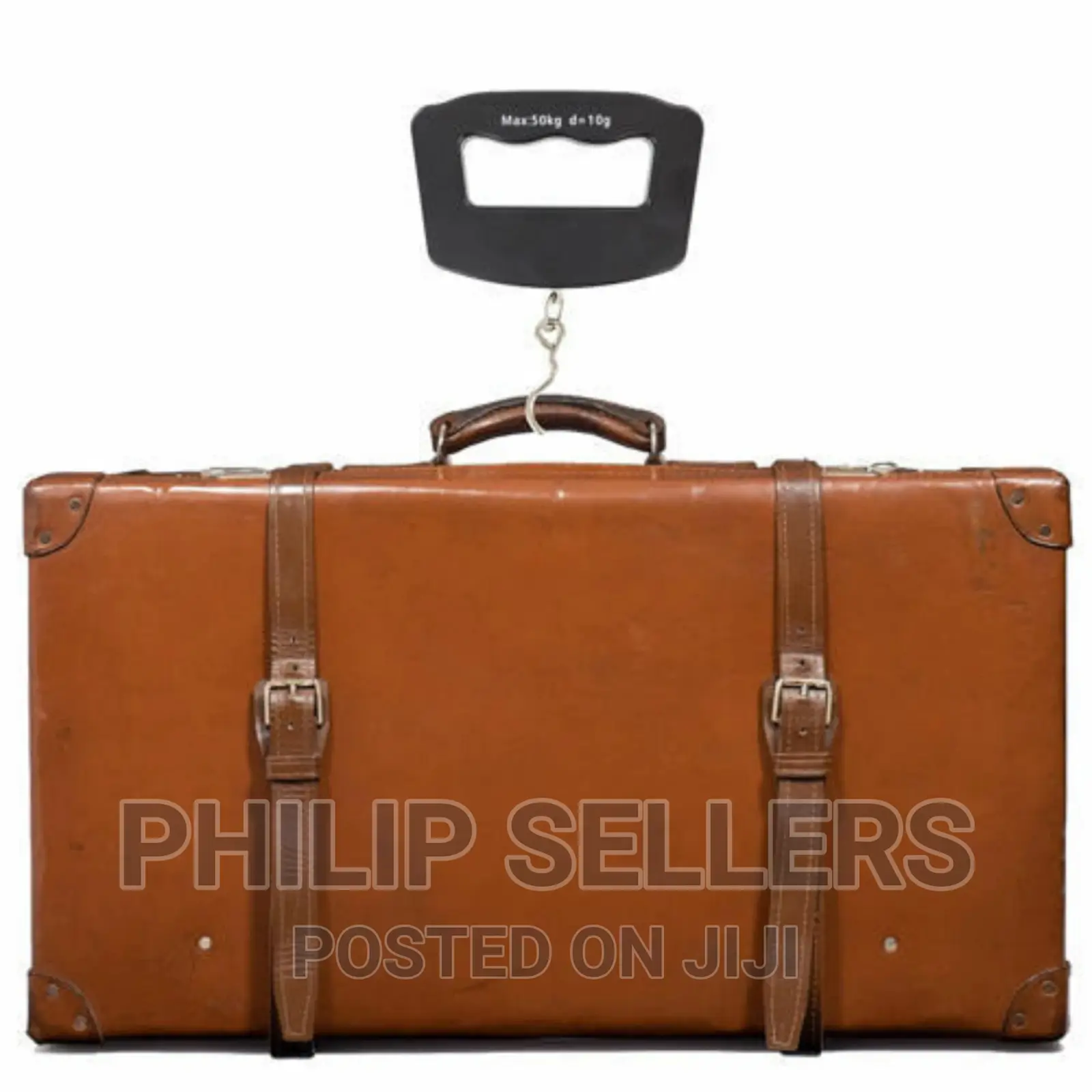 Hook Portable Travel Luggage Scales
