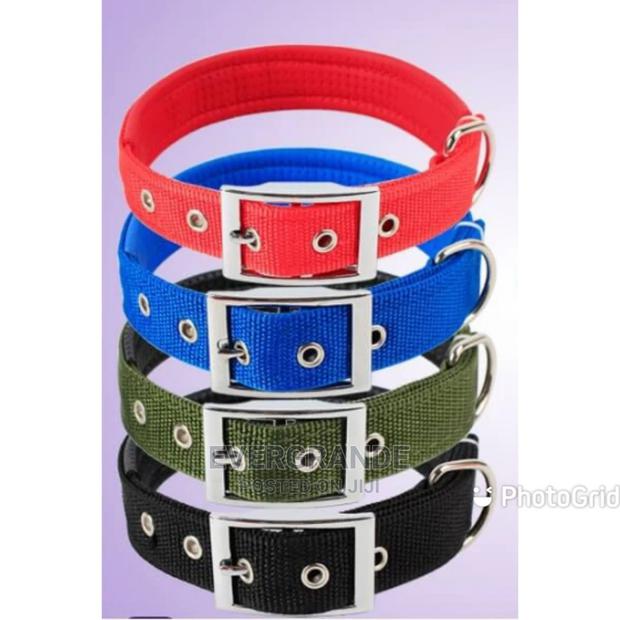 Dog Collar Available - main view