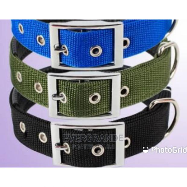 Durable Dog Collar - main view