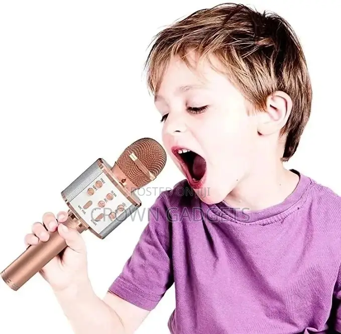 Bluetooth Karaoke Mic,Ktv