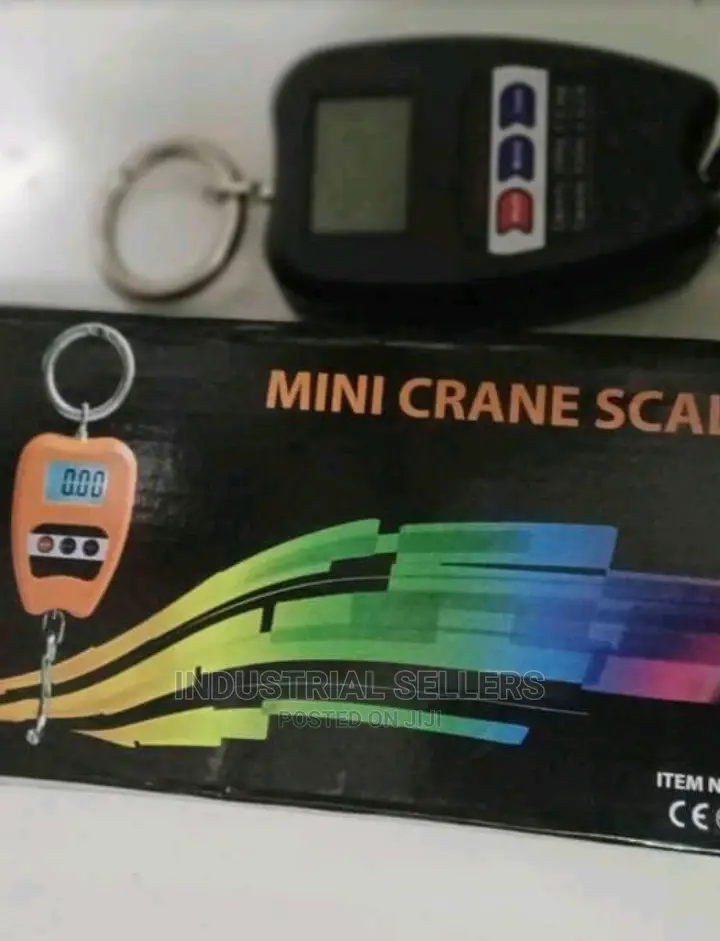 Accurate 200kgs Hanging Scale