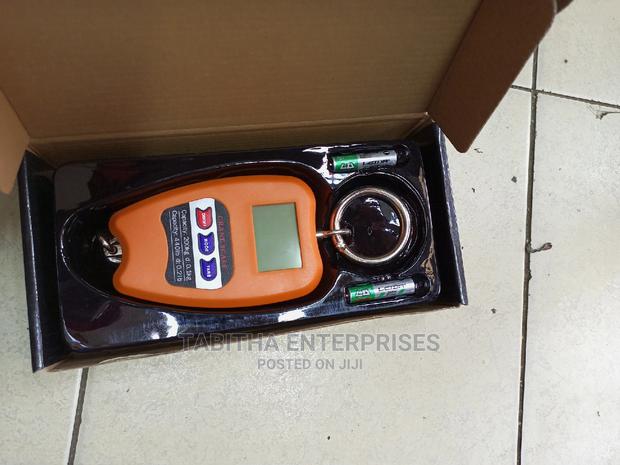 Mini Crane Scale 200kg - main view