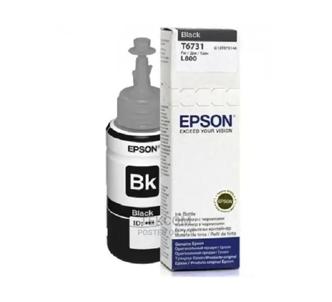 Epson Ink Cartridge Black 673 C13T67314A