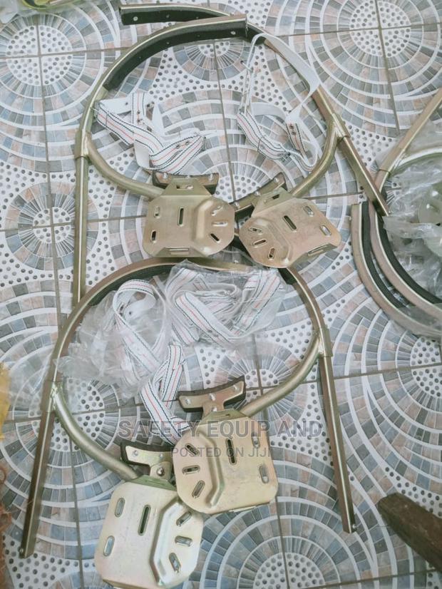 Pole Climbers - main view