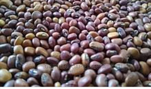 Kunde Mboga-Cowpeas - main view