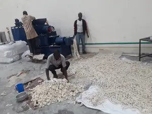 Modtec: Quality Barsoap Production And Training