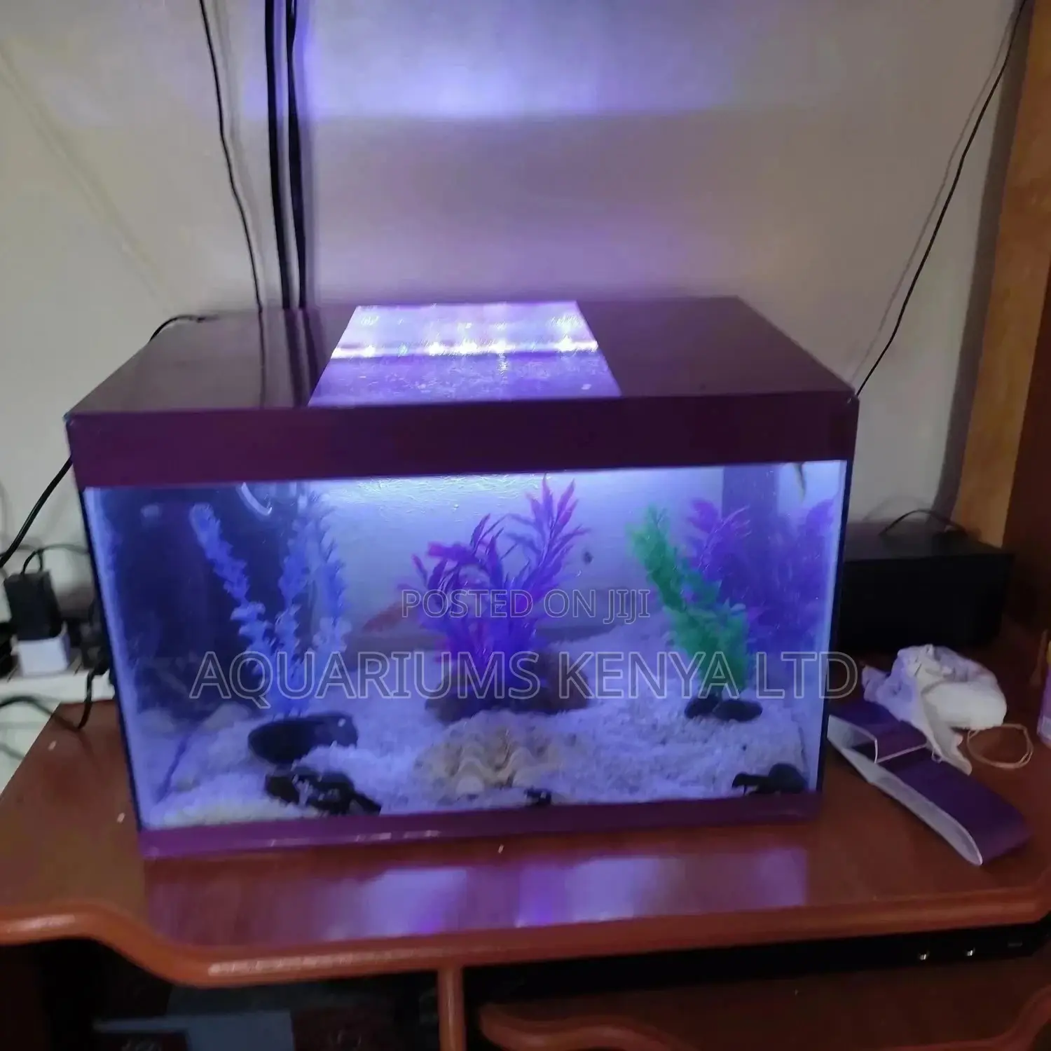 Aquarium,Fish Aquarium ,Glass Tank Aquarium