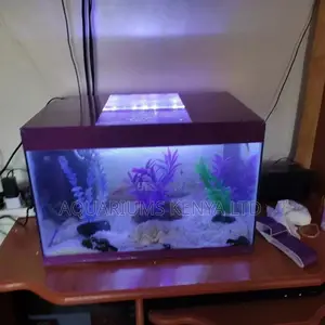 Aquarium,Fish Aquarium ,Glass Tank Aquarium