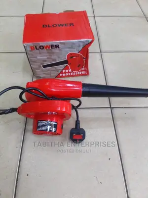 Proffessional Blower