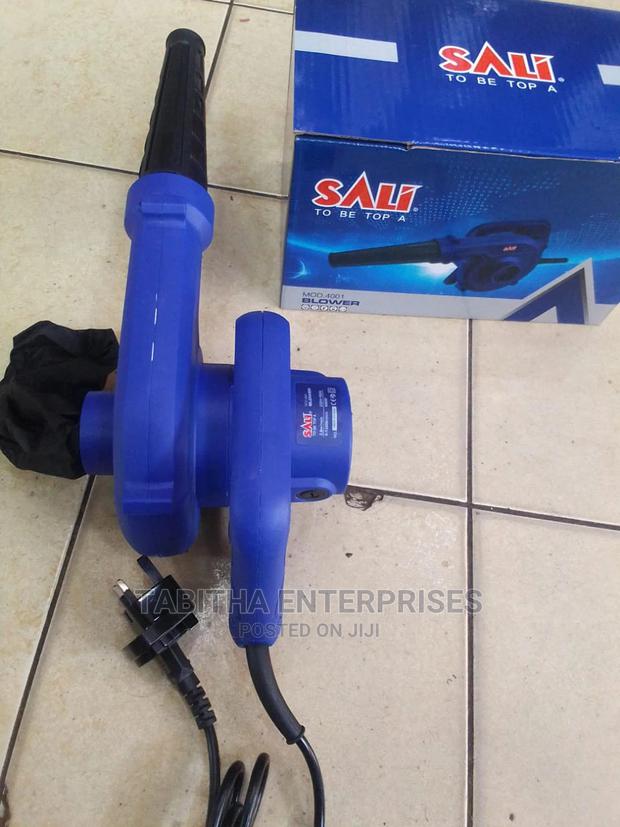 Sali Blower - main view