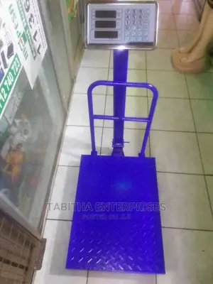 300kg Digital Scale