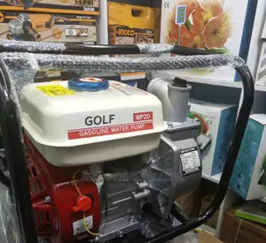 A Worthy Golf 2" Water Pump
