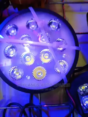 Led Lights 12 Bulbs