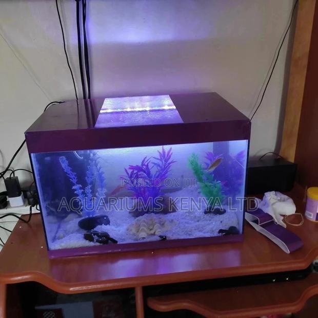 Custom Aquarium , Fish Tank Aquariumcomplete - main view