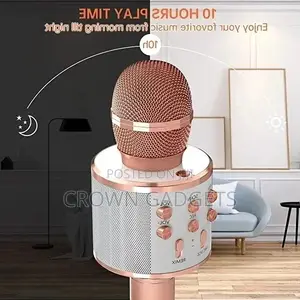 Professional Wireless Microphone Handheld Karaoke Mic Usb