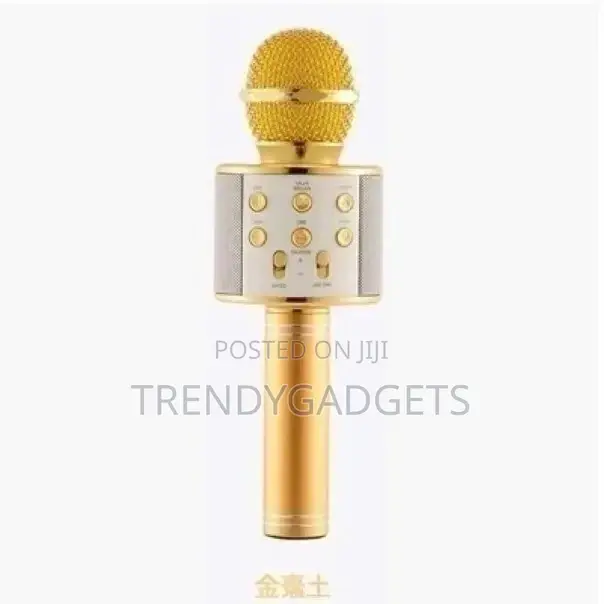 KTV- WS858 Wireless Karaoke Handheld Microphone Bluetooth