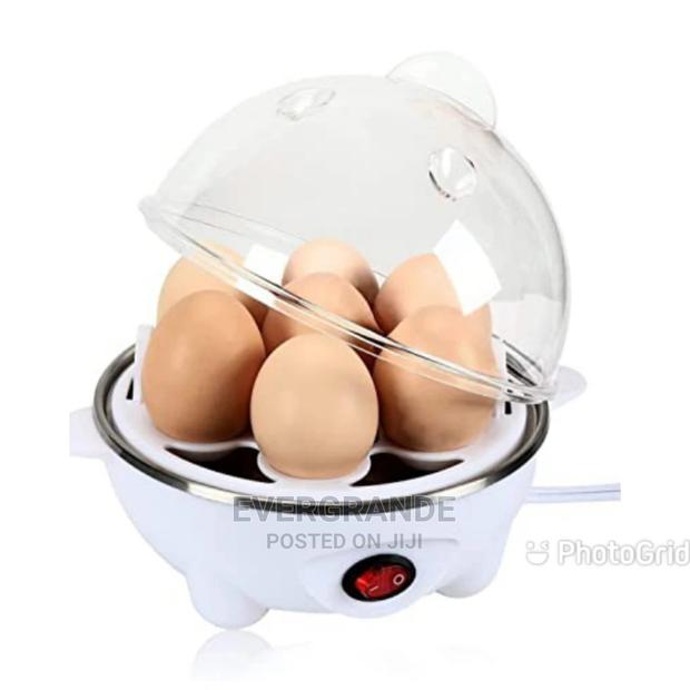 New Egg Boiler