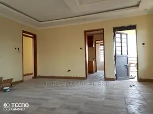 Technician and Gypsum Ceiling