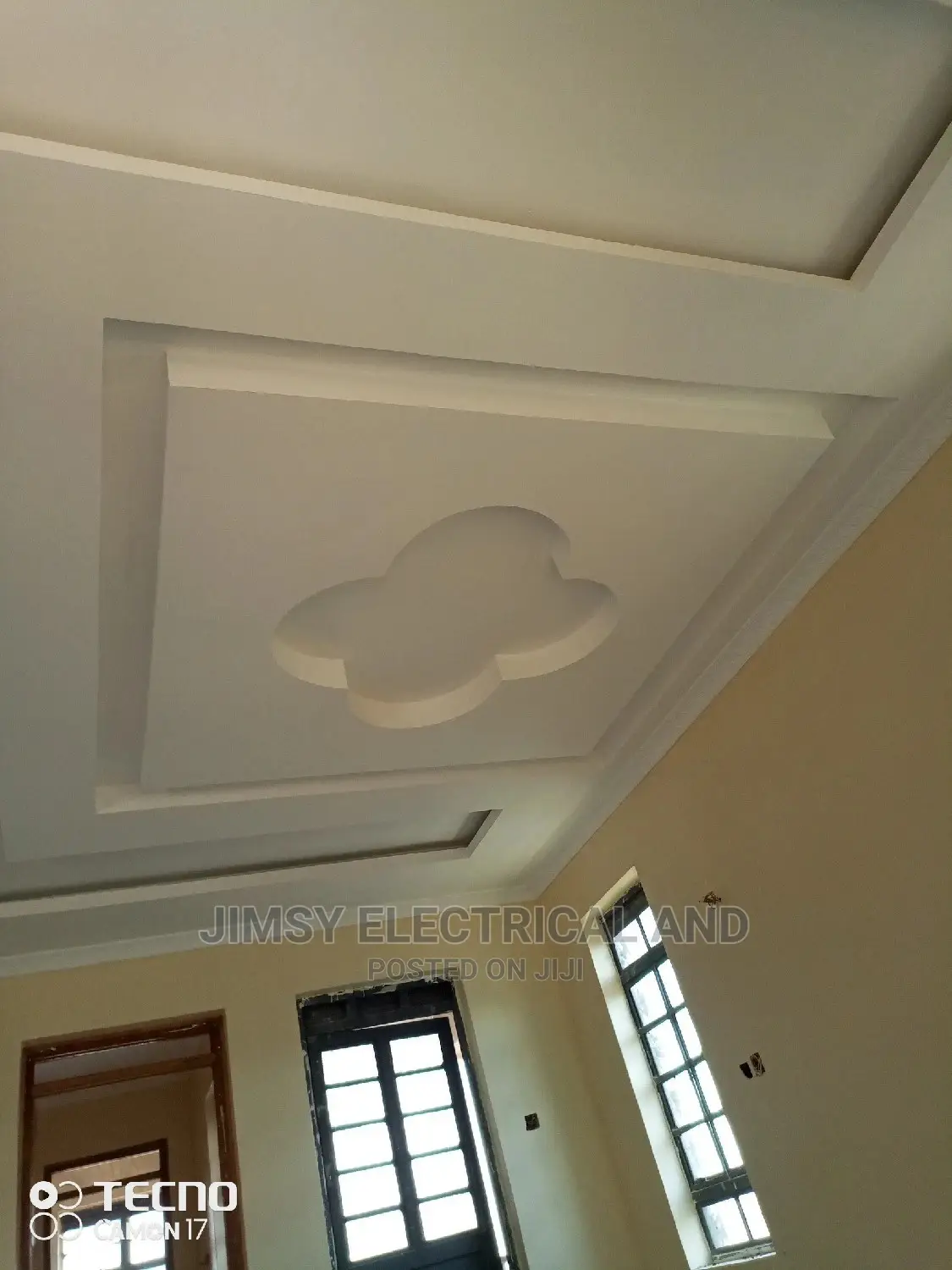 Technician and Gypsum Ceiling
