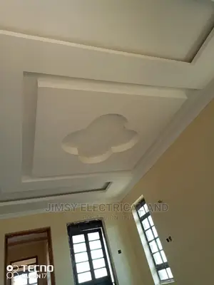 Technician and Gypsum Ceiling