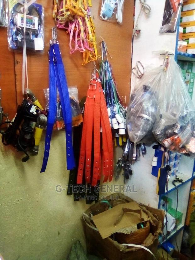 Brand New Dog Colors - main view