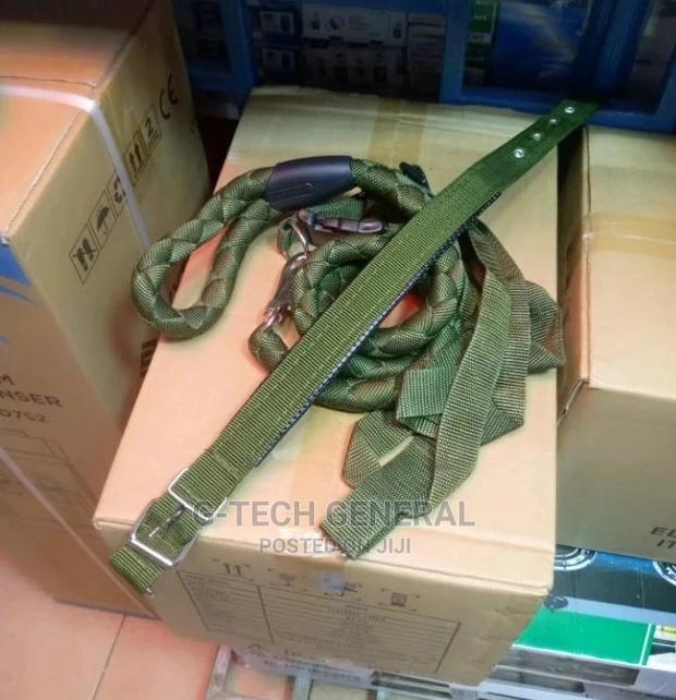 Green Dog Leash and a Color - main view