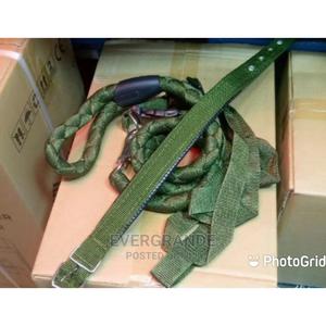 .Brand New Dog Leash Available - thumbnail 2