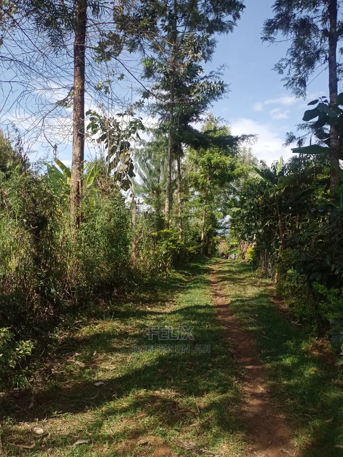 3bdrm House in Karindundu Estate, Karatina Town for Sale