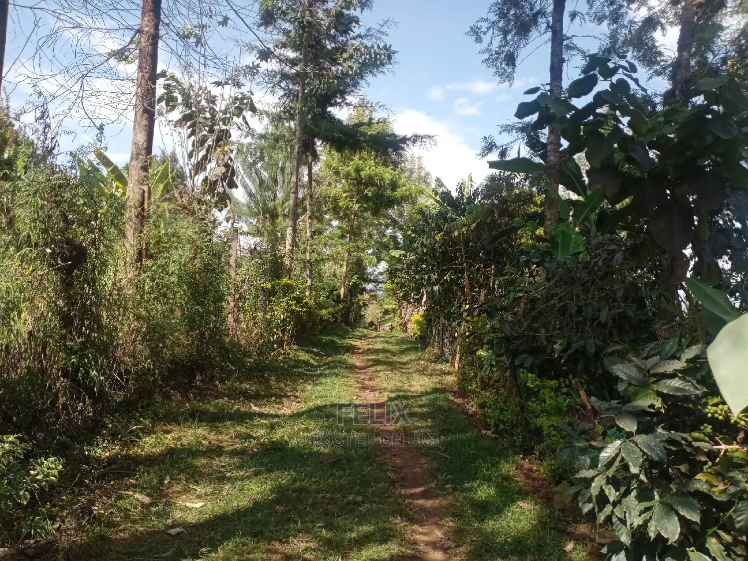 3bdrm House in Karindundu Estate, Karatina Town for Sale