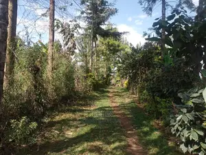 3bdrm House in Karindundu Estate, Karatina Town for Sale
