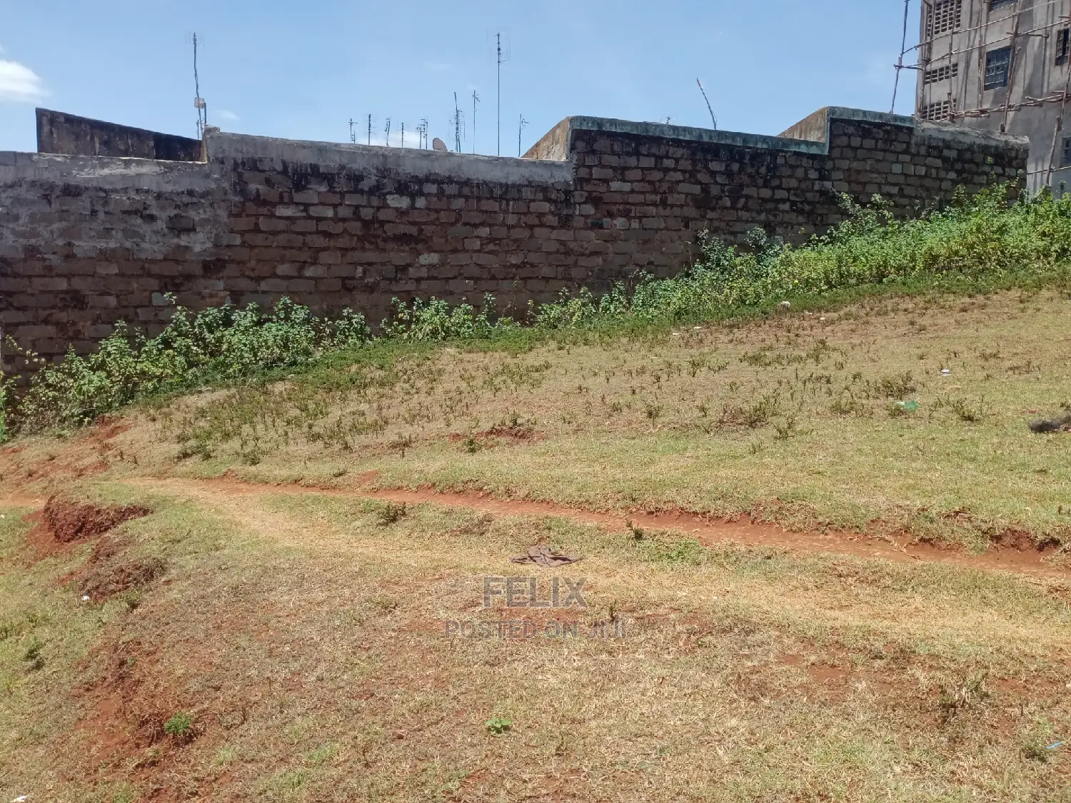 Karatina Muthua Estate