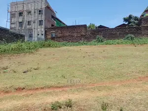 Karatina Muthua Estate