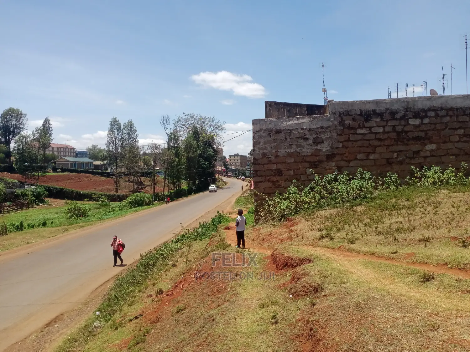 Karatina Muthua Estate