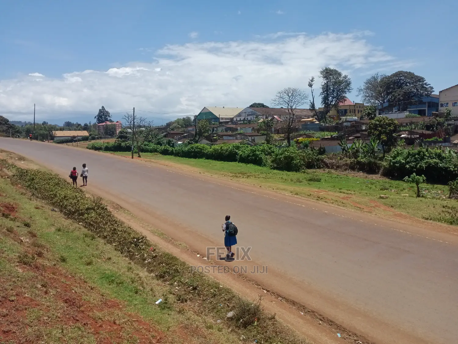 Karatina Muthua Estate