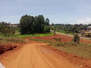 Half Acre Touching Karatina Dual Carriage
