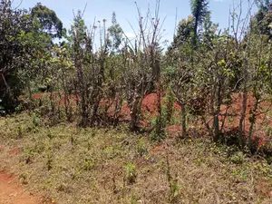 Karatina/Mathaithi Quota Plot