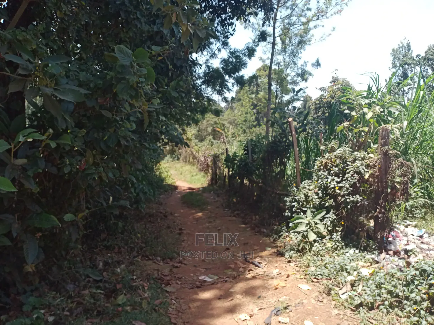 Karatina/Mathaithi Quota Plot